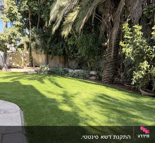 דשא ירוק עם עצים מסביב בגינה